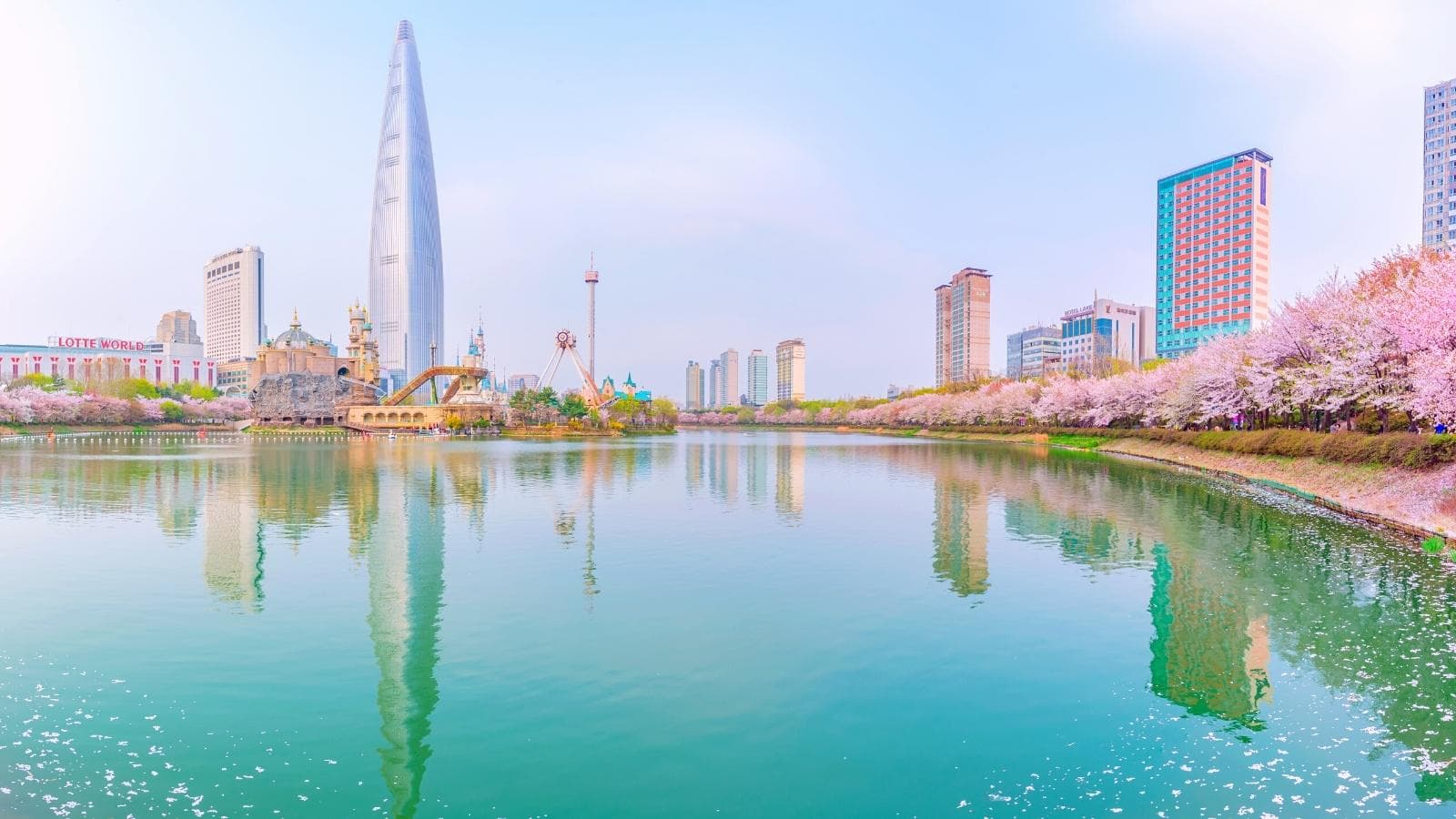 Along the Seokchon Lake full cherry blossoms with Lotte Tower and Lotte World in Seoul Korea