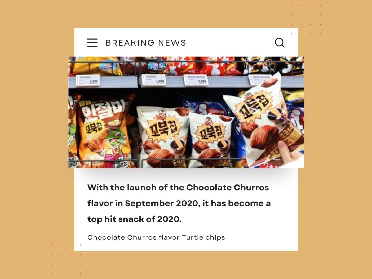 News says Chocolate churros flavor turtle chips were most loved chips in 2020.