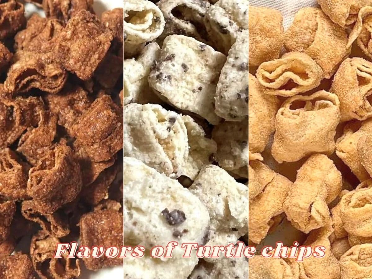3 flavor turtle chips