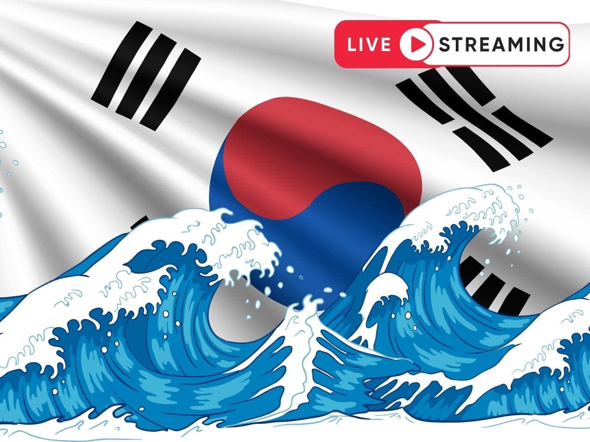 Role of Korean Variety Shows in Spreading Hallyu Wave